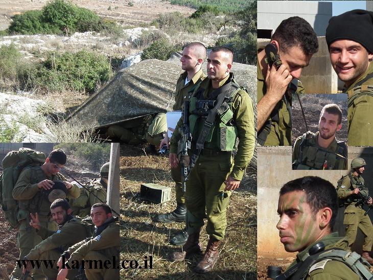 פורטל הכרמל