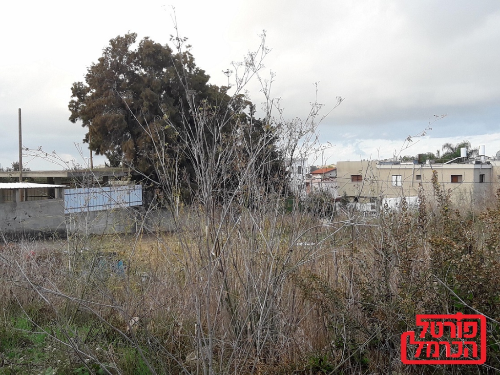 מהו האגו ומהיכן הוא נובע?