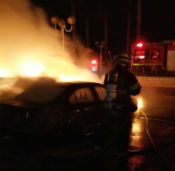 פורטל הכרמל