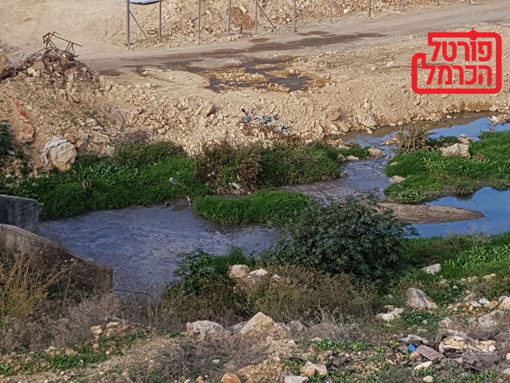 מניעה וטיפול לאחר נשיכת בעל חיים נגוע בכלבת