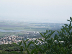 נלכדו יתושות נגועות בקדחת מערב הנילוס
