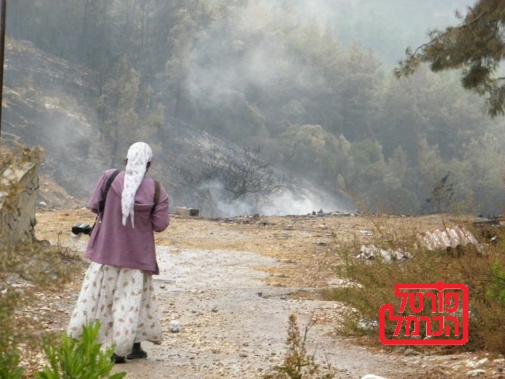 פורטל הכרמל