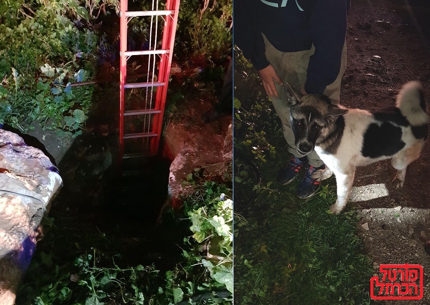 הכבאים הצילו כלב שנפל לבור בעומק חמישה מטרים