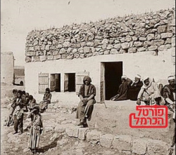 مدينة دالية الكرمل