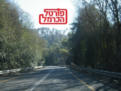 רק 10 נוירולוגים מומחים לדמנציה כיום בישראל