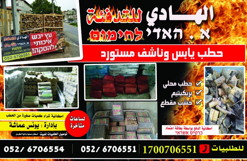 פורטל הכרמל