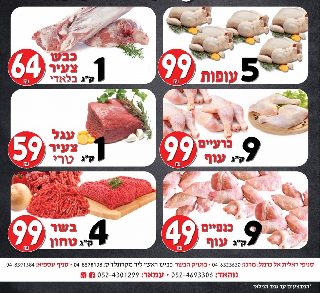 פורטל הכרמל