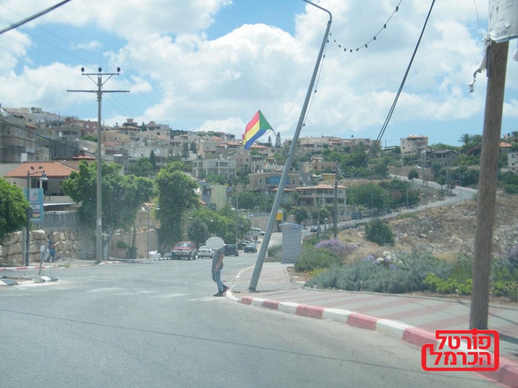 פורטל הכרמל