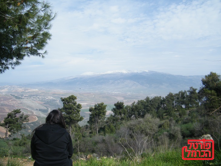 רעידת אדמה הורגשה בצפון ישראל