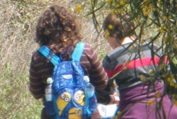 המורים מרגישים מושפלים התלמידים יוצאים בלי כלים לחיים