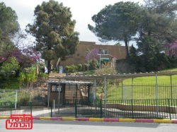 הבינה המלאכותית לא תחליף את המוח האנושי