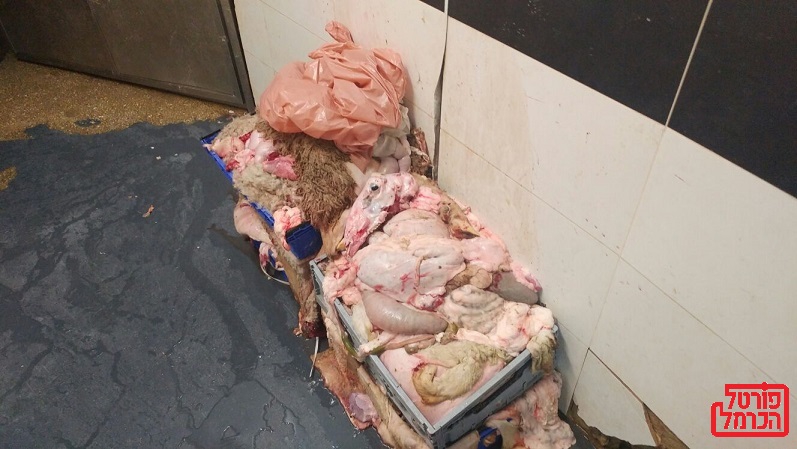 מפגעים תברואתיים קשים וליקויים בבית מטבחיים