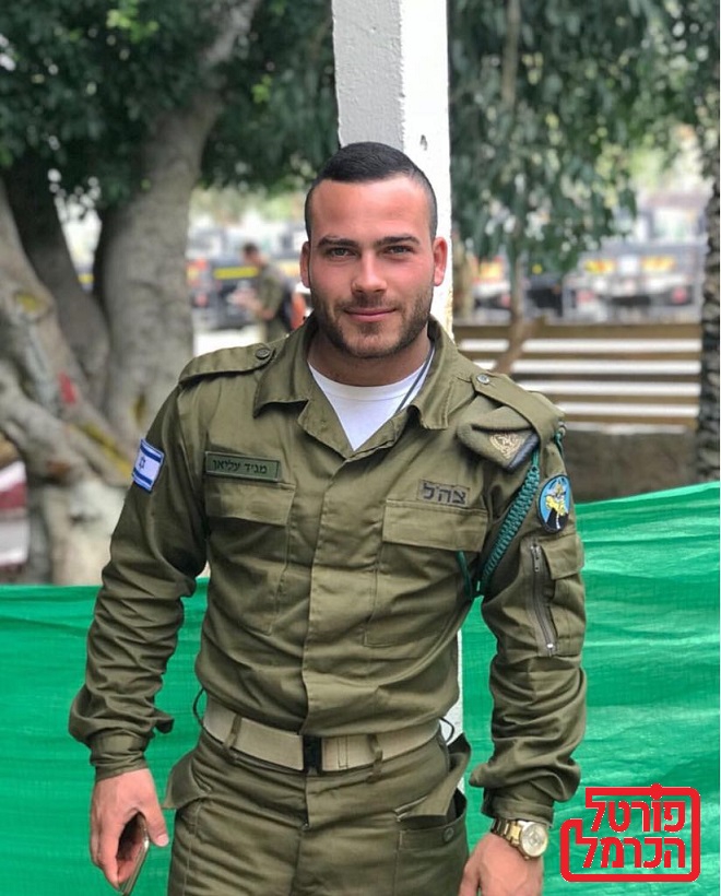 פורטל הכרמל