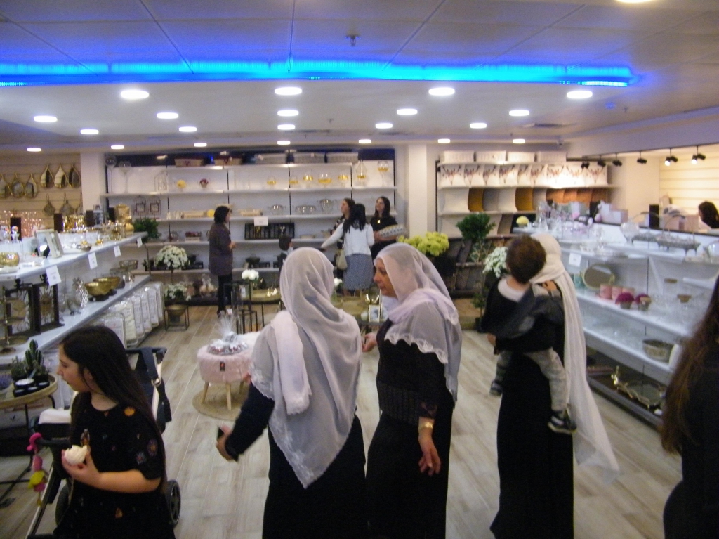 פורטל הכרמל