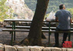 המסרון מפרשת השבוע ראה
