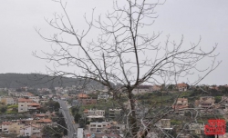 מהפכת סלולר בפריפריה