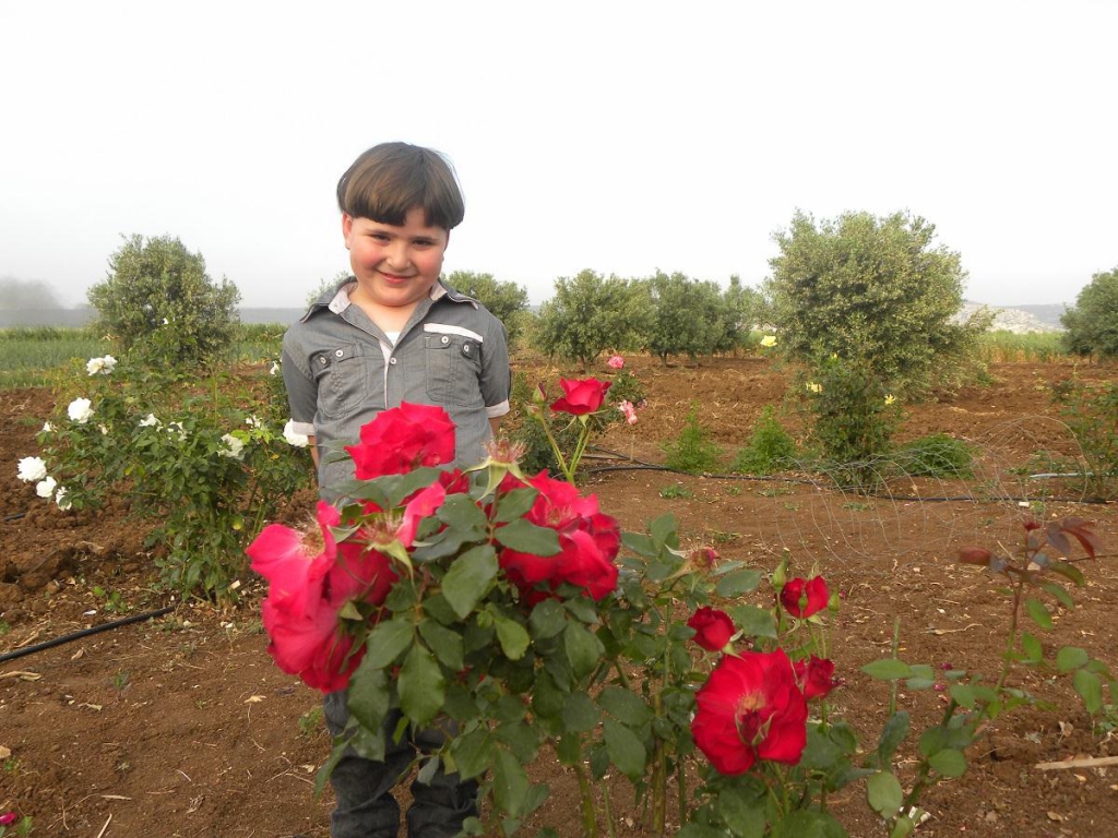 משמעות הפרח בחיים שלנו