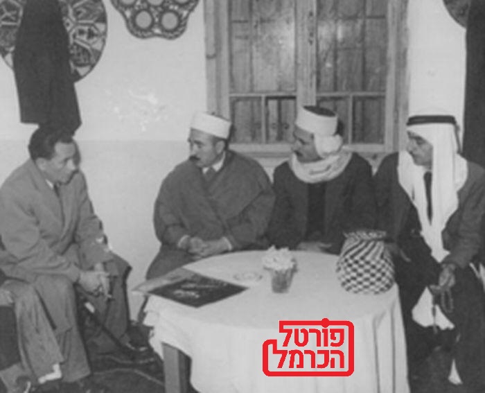 פורטל הכרמל