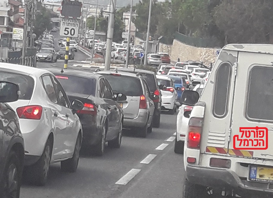 מעכשיו שירות לאומי והתנדבות קהילתית בתחומים של חקלאות וטכנולוגיה