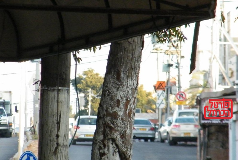 עלייה דרמטית בהסתבכויות בשוק האפור