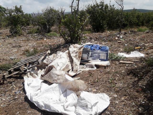 פורטל הכרמל