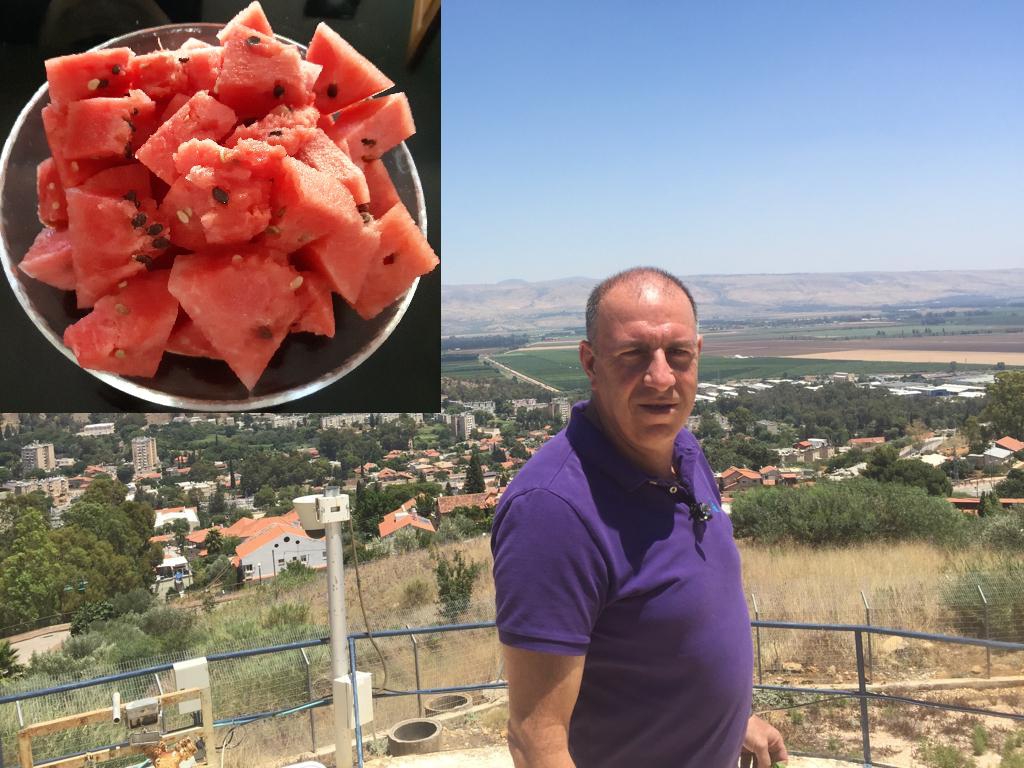 פורטל הכרמל