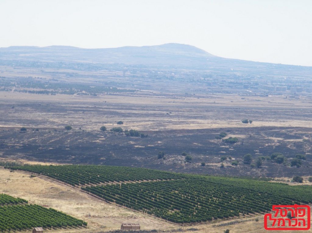 פורטל הכרמל