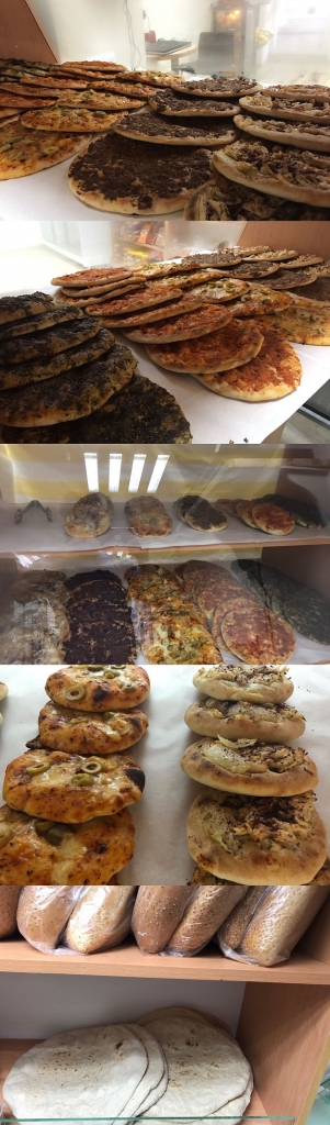 פורטל הכרמל