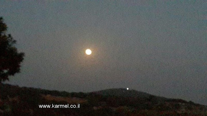 פורטל הכרמל