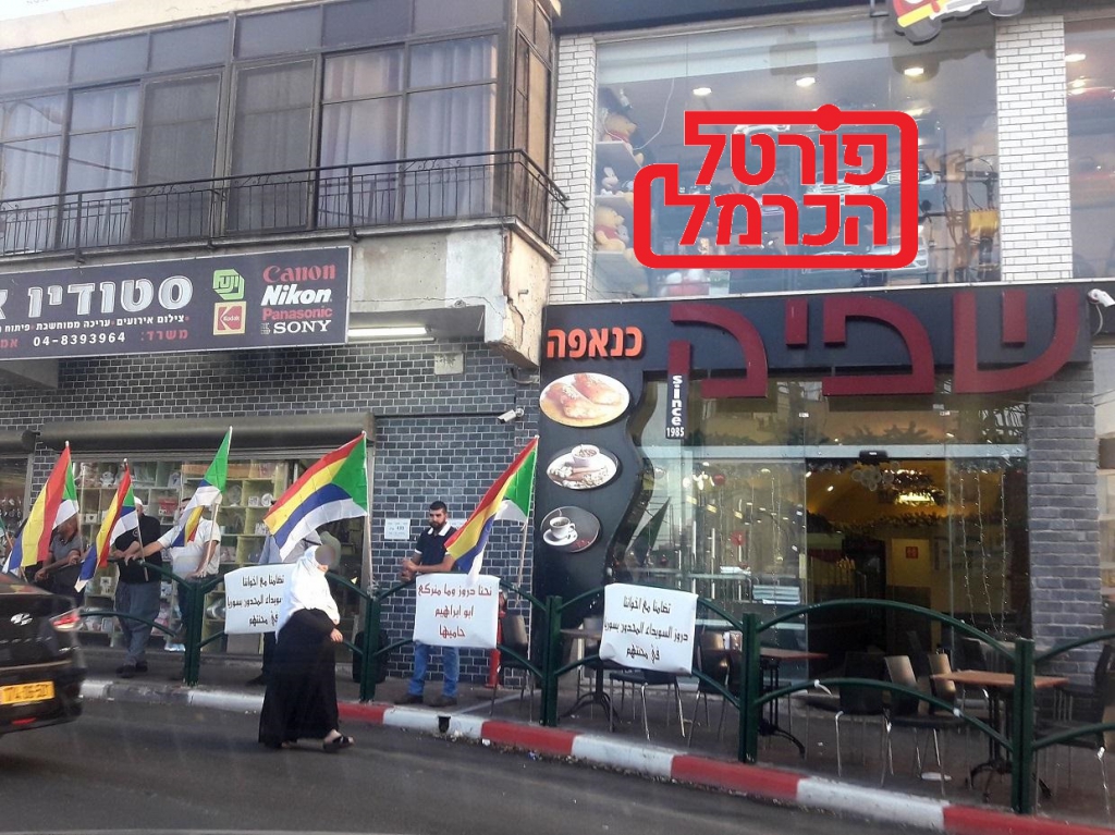 פורטל הכרמל