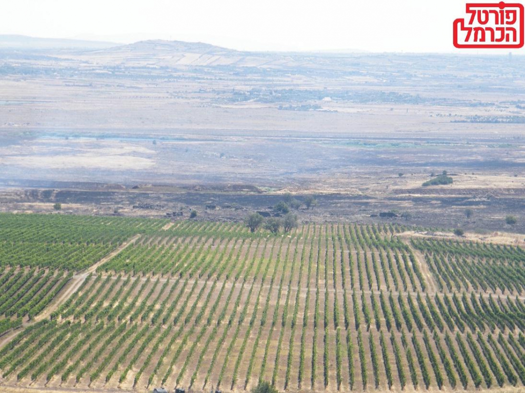 הרג הדרוזים בסוידה בעיקר מהשלטון הסורי