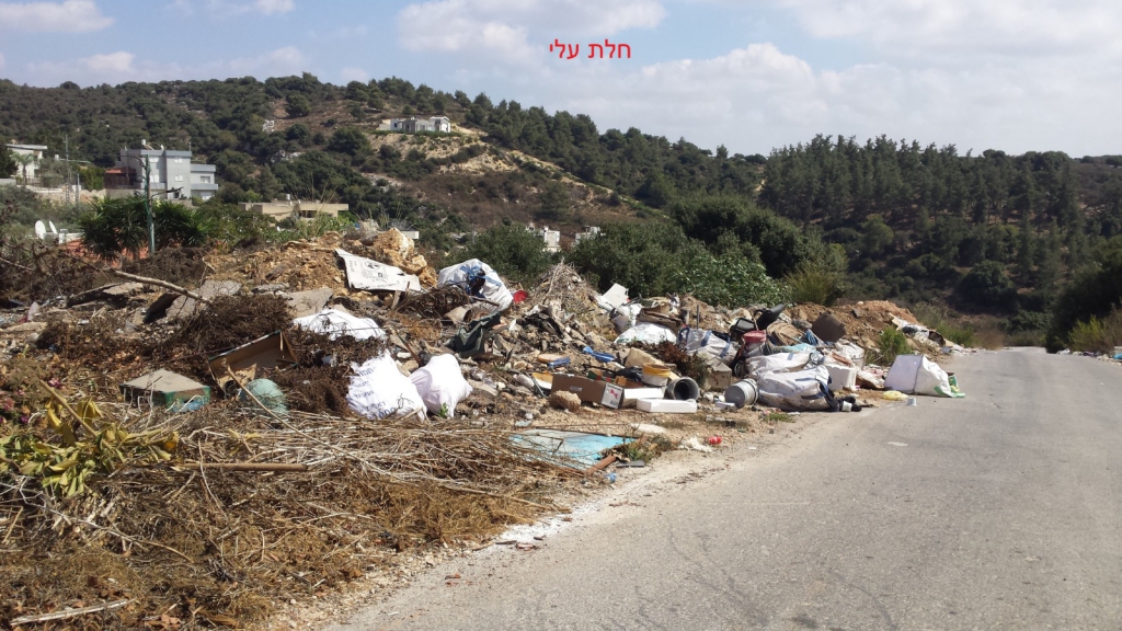 פורטל הכרמל