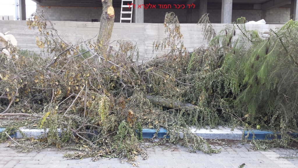 פורטל הכרמל