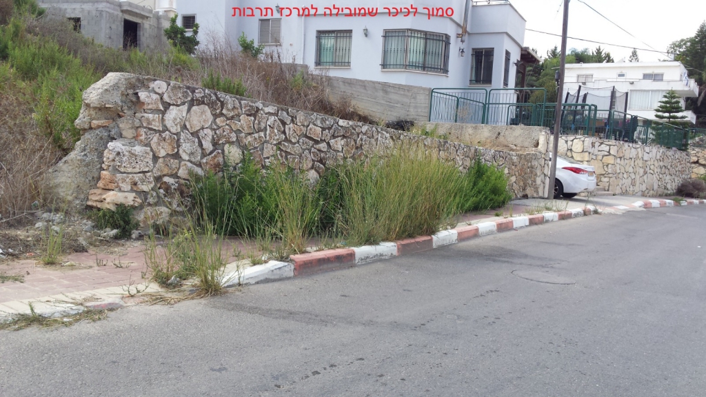 פורטל הכרמל