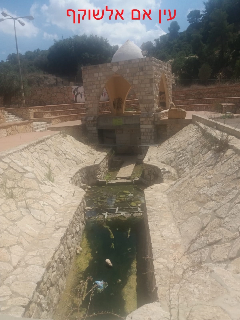 פורטל הכרמל