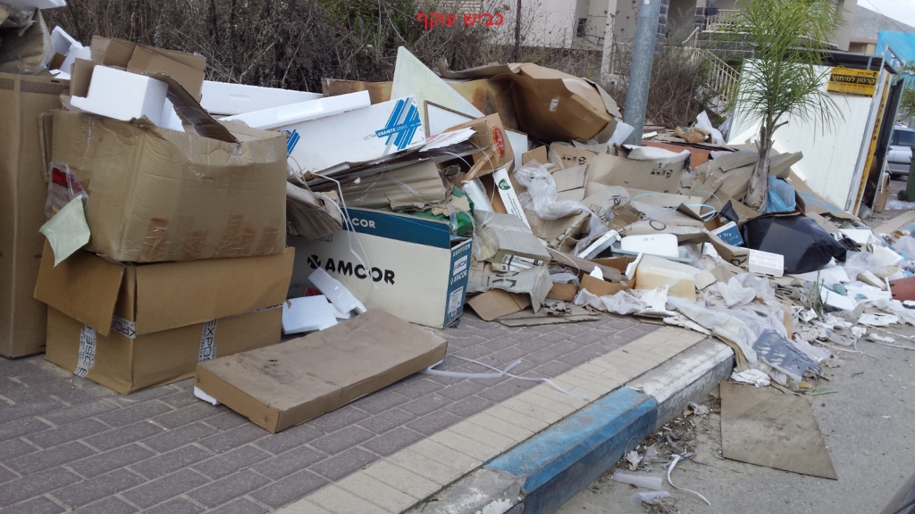 פורטל הכרמל