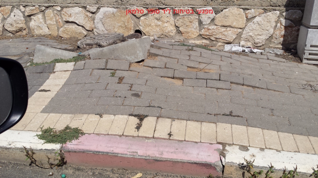 פורטל הכרמל