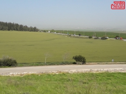 כלכלת ישראל צומחת למרות המלחמה