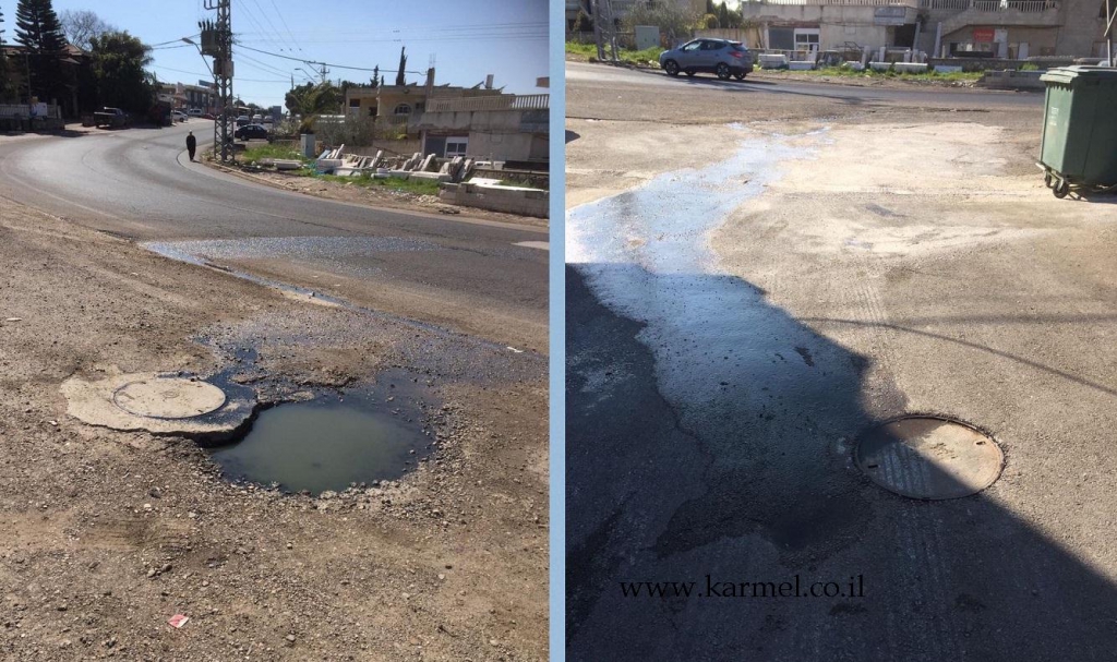 פורטל הכרמל