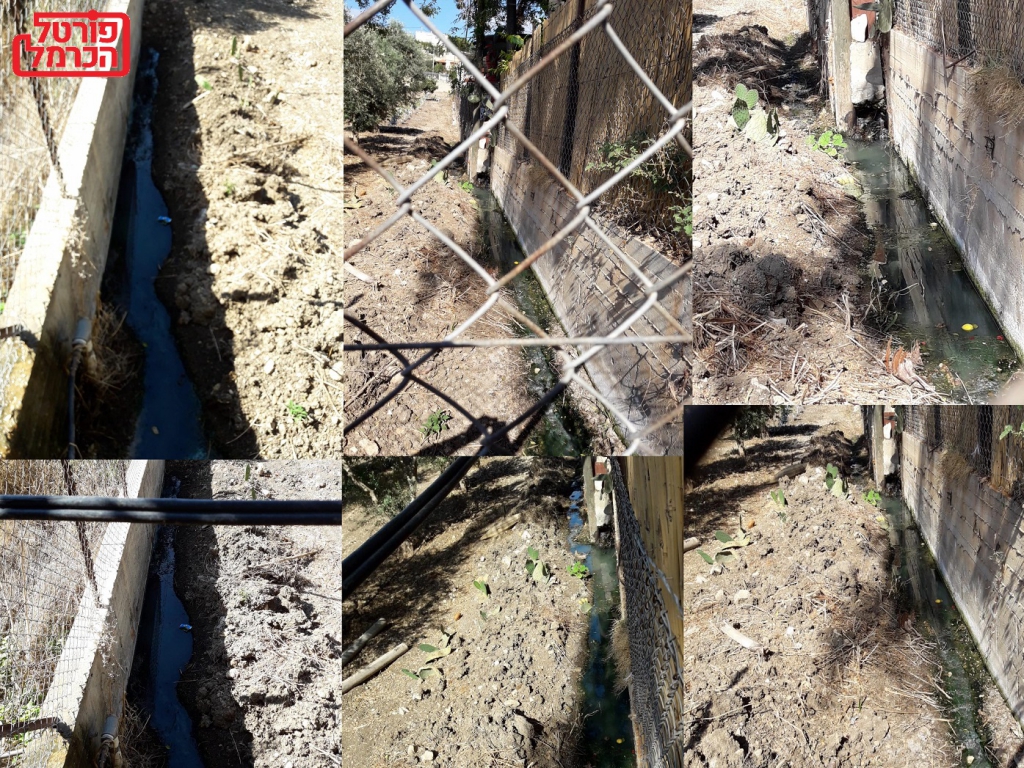 בבקשה קחו את הביוב של השכן מהחצר שלי