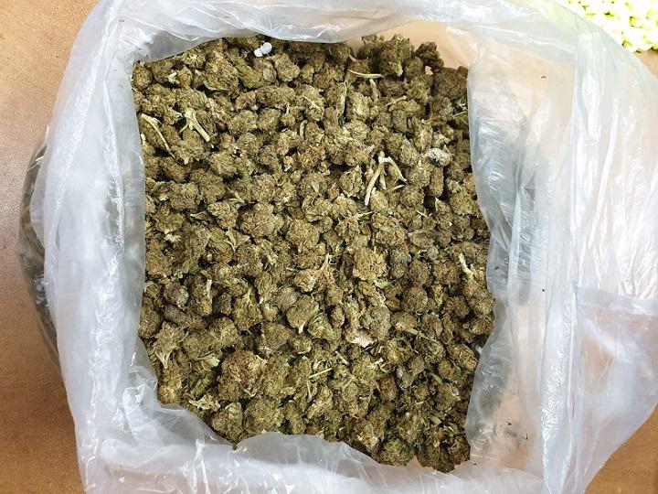 פורטל הכרמל