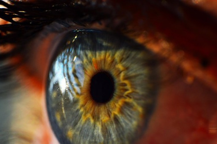 כמה דברים שחשוב שתדעו על רפואת עיניים