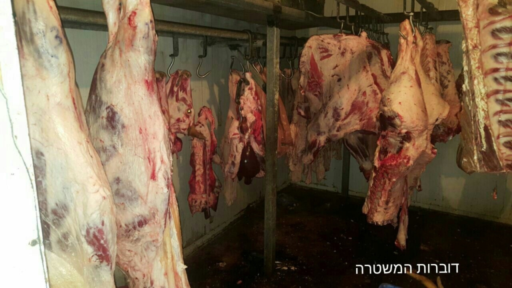 פורטל הכרמל