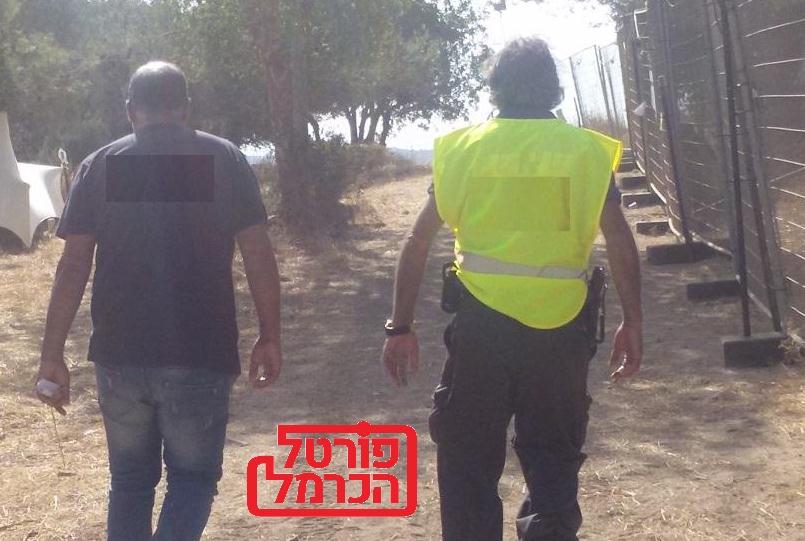 פורטל הכרמל