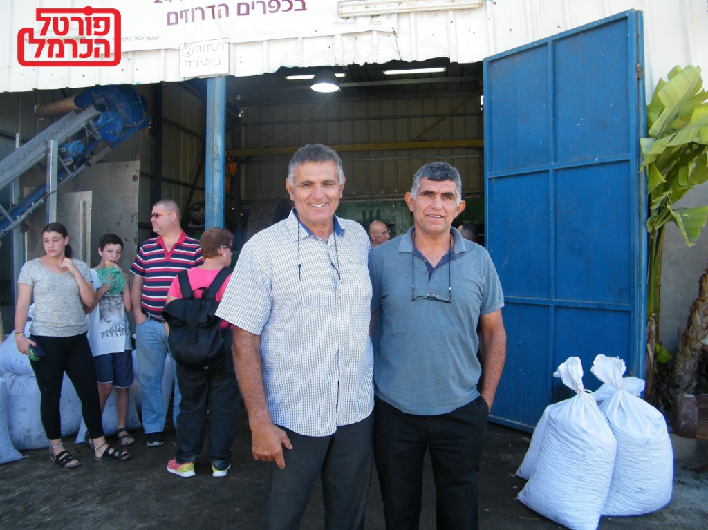 פורטל הכרמל