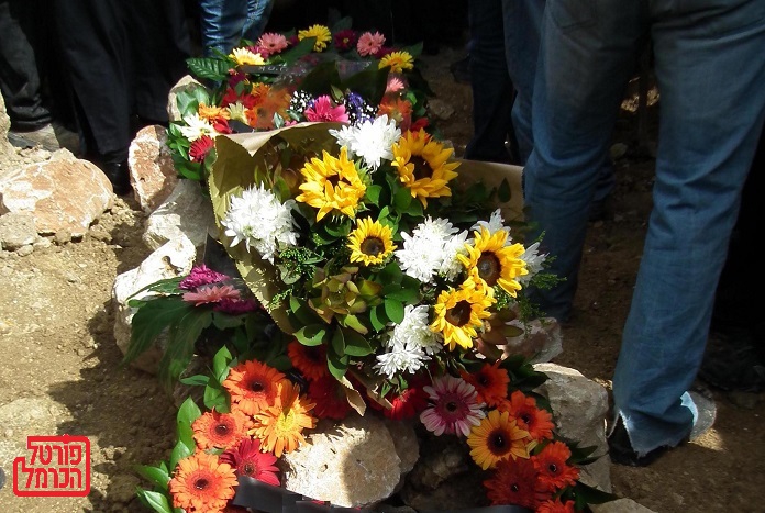 פורטל הכרמל