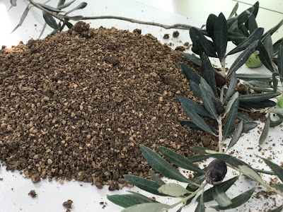 פורטל הכרמל