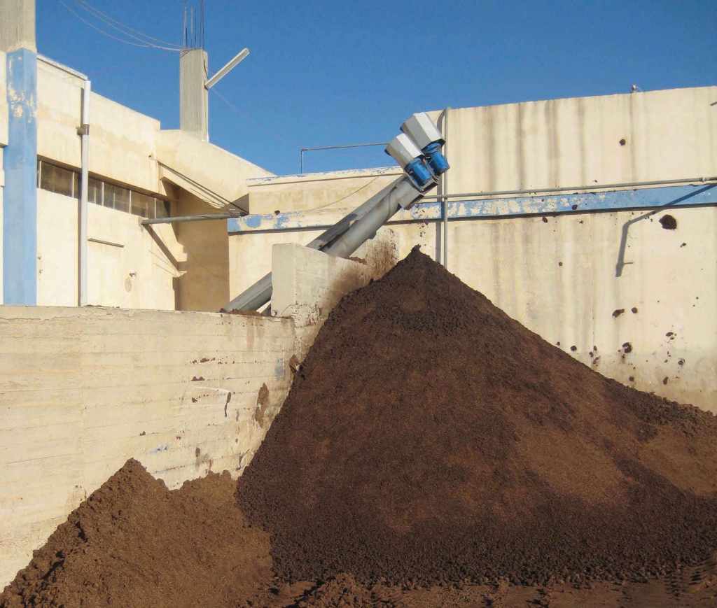 איך הופכים אלפיים טון פסולת זיתים לדלק לתחבורה