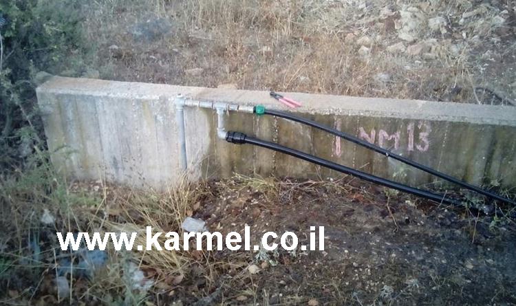 פורטל הכרמל