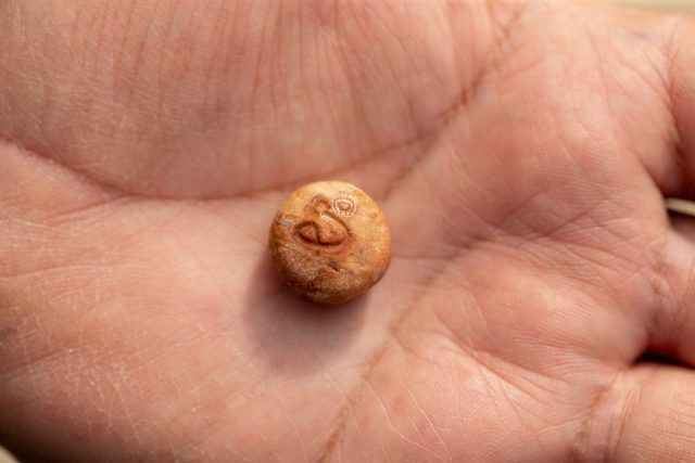 דרישת שלום מבית המקדש